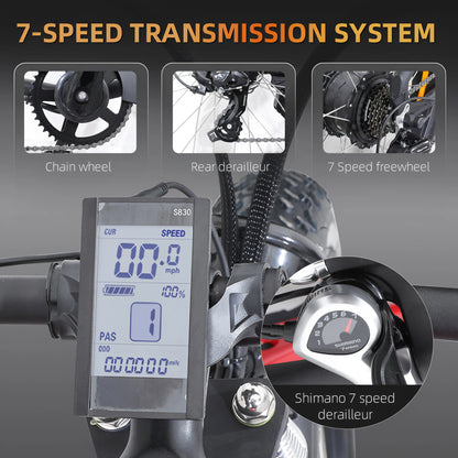 Powerful 750W Electric Mountain Fat Tire Bike for Adventure
