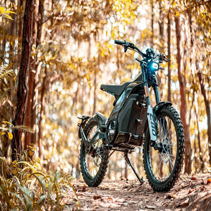 Fast Electric Motorcycle, 8000W Power Dirt Bike